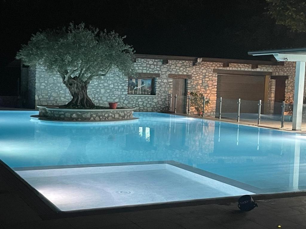 كاشا Hotel Gans المظهر الخارجي الصورة